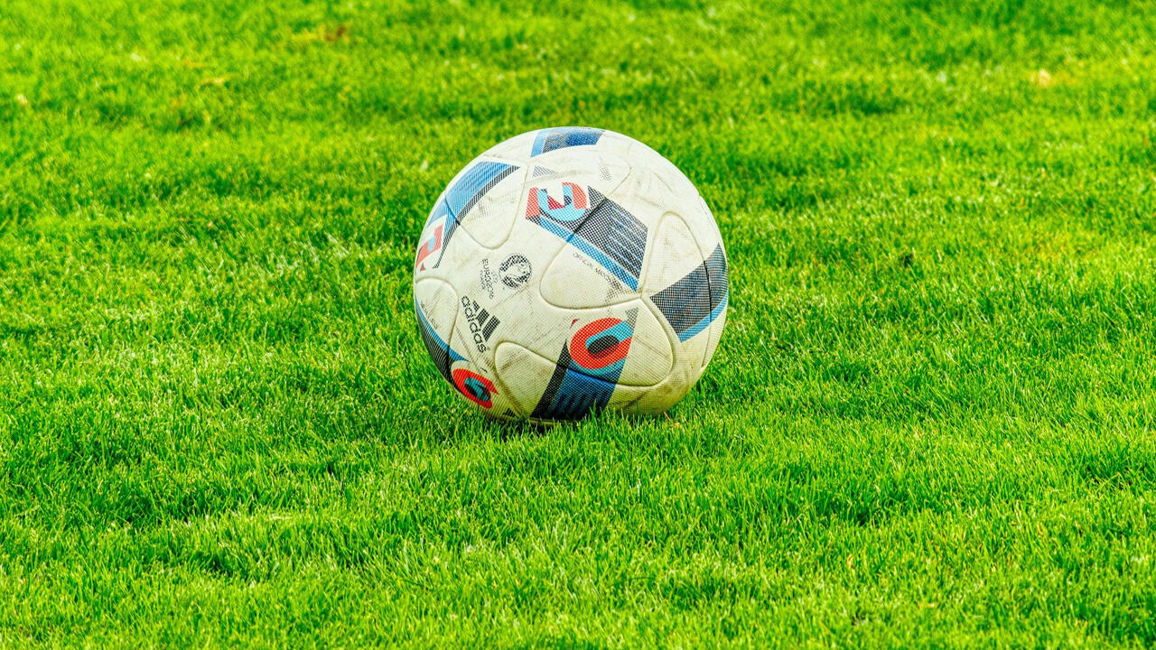 Wer Kinder hat, sollte Samen für Spiel- oder Sportrasen wählen. Wer Kinder hat, sollte Samen für Spiel- oder Sportrasen wählen.