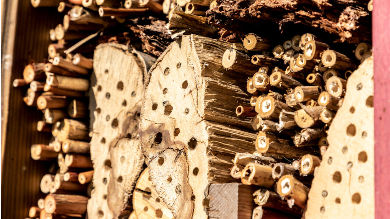 Für das Insektenhotel bohren Sie Löcher mit bis zu 10 mm Durchmesser in die Holzstämme.