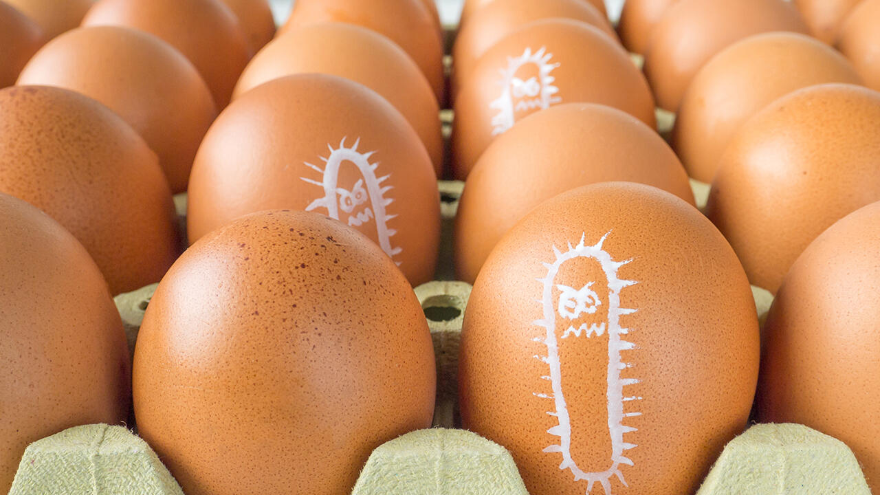 Auch Eier und Eierspeisen können Salmonellen enthalten.