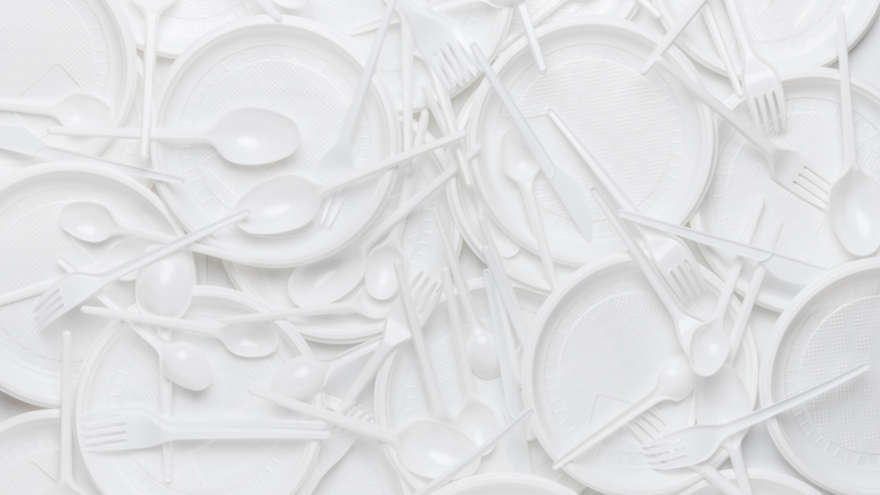 Einweggeschirr aus Plastik ist in der EU bald verboten, Alternativen aus Papier oder Bambus sind aber nicht immer schadstofffrei. Einweggeschirr aus Plastik ist in der EU bald verboten, Alternativen aus Papier oder Bambus sind aber nicht immer schadstofffrei.