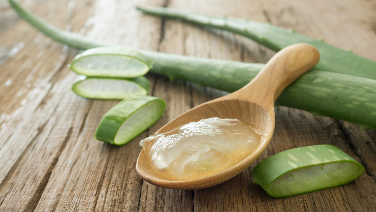 Aloe vera kühlt einen Sonnenbrand, auch kalte Umschläge helfen. Aloe vera kühlt einen Sonnenbrand, auch kalte Umschläge helfen.