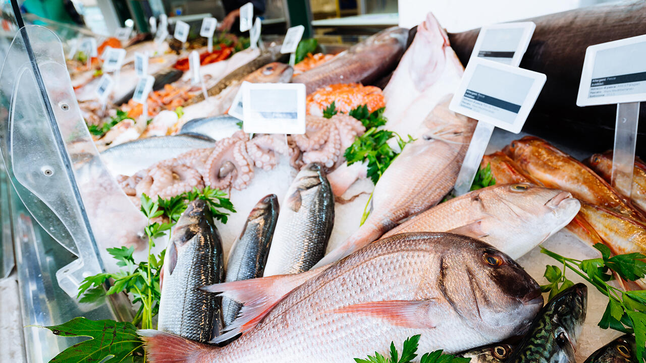 Fisch ist gesund und schmeckt – aber leer gefischte Meere und Massenfischhaltung in Aquafarmen verderben uns oft den Appetit. Fisch ist gesund und schmeckt – aber leer gefischte Meere und Massenfischhaltung in Aquafarmen verderben uns oft den Appetit.