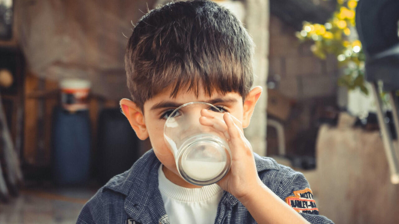 Ein Glas Kuhmilch verträgt nicht jeder - Laktoseintoleranz ist auch in Deutschland verbreitet.