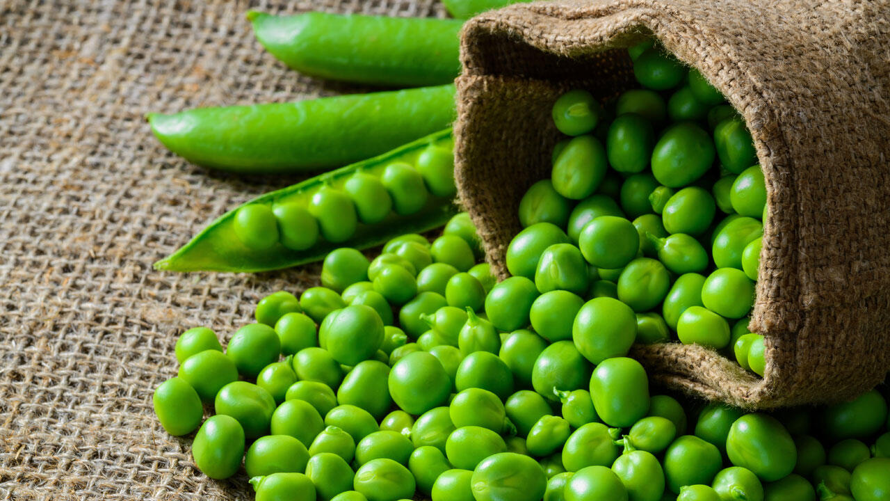 Je frischer Erbsen sind, umso besser schmecken sie. Je frischer Erbsen sind, umso besser schmecken sie.