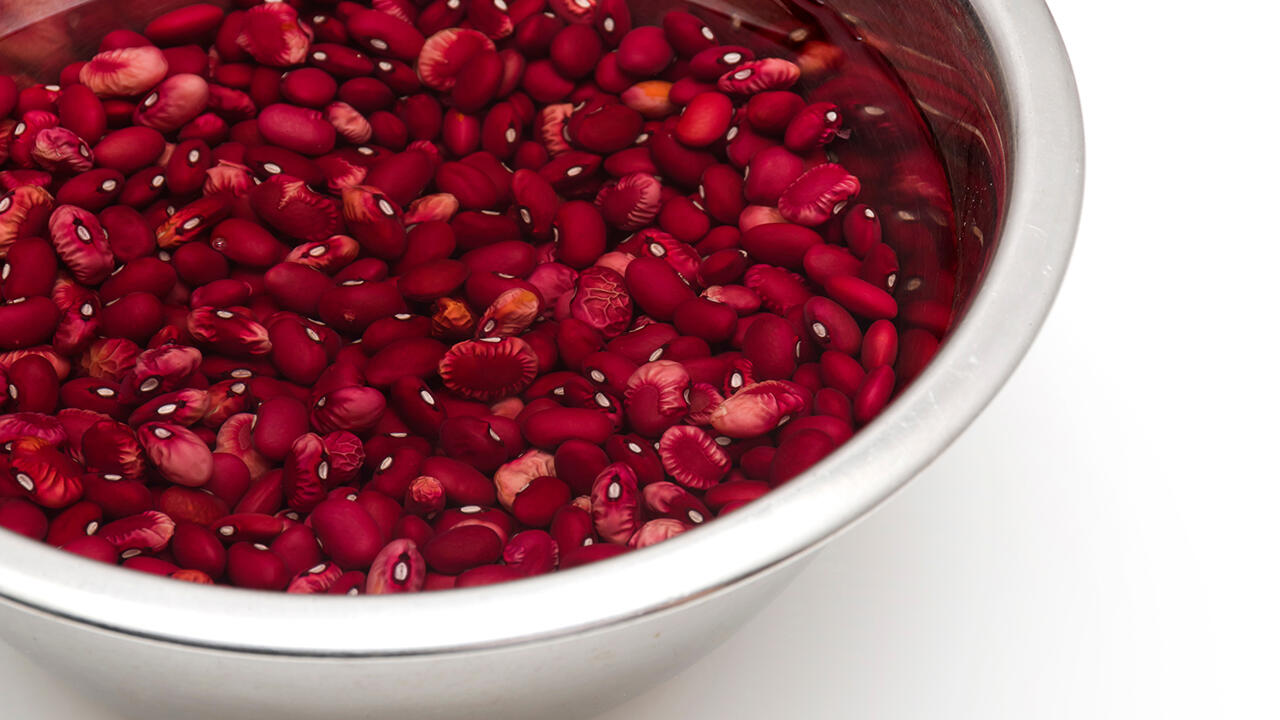Die Giftstoffe in den Kidneybohnen werden beim Einweichen gelöst und beim nachfolgenden Kochen zersetzt. Die Giftstoffe in den Kidneybohnen werden beim Einweichen gelöst und beim nachfolgenden Kochen zersetzt.
