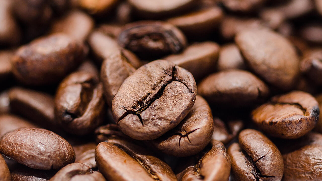 Die Inhaltsstoffe der Starbucks-Kaffeebohnen waren im Test einwandfrei.