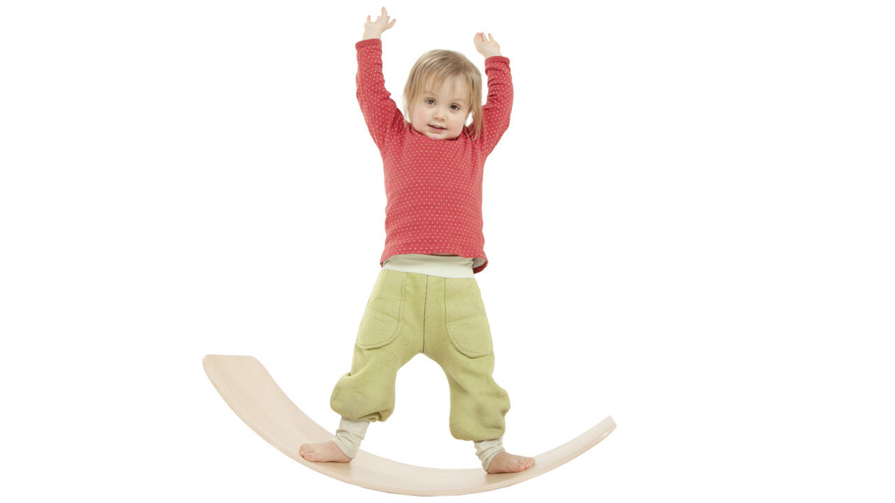 Балансир Wobble Board