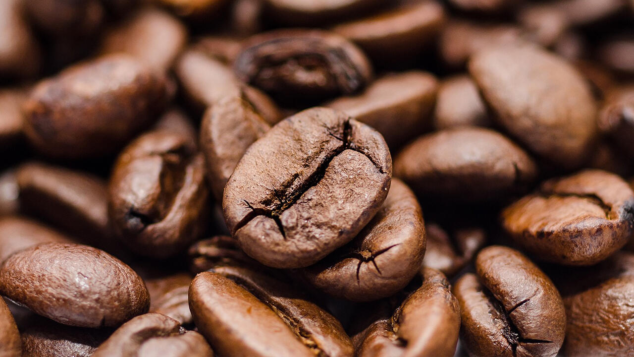 Knapp die Hälfte der Kaffees im Test besteht aus Arabica-Bohnen. Die anderen sind Mischung der Sorten Arabica und Robusta.