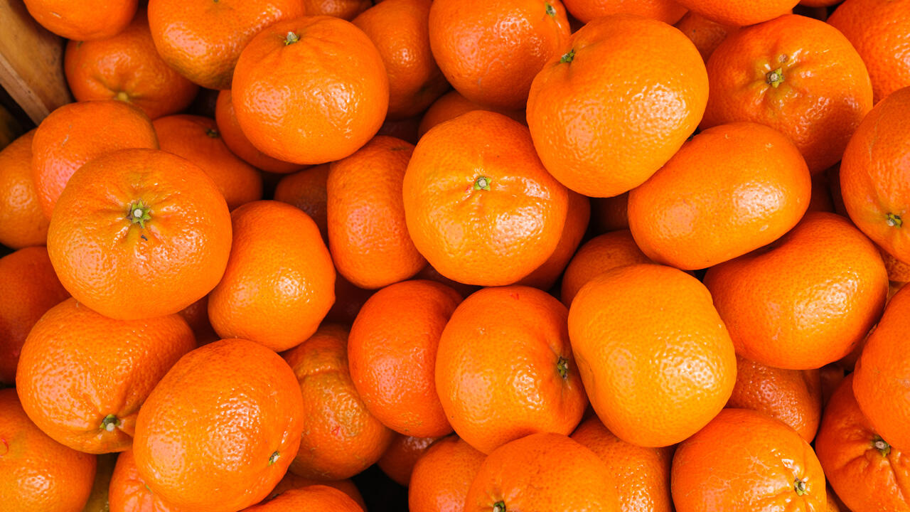 Mandarine oder Clementine? Die Unterschiede liegen in erster Linie im Geschmack.