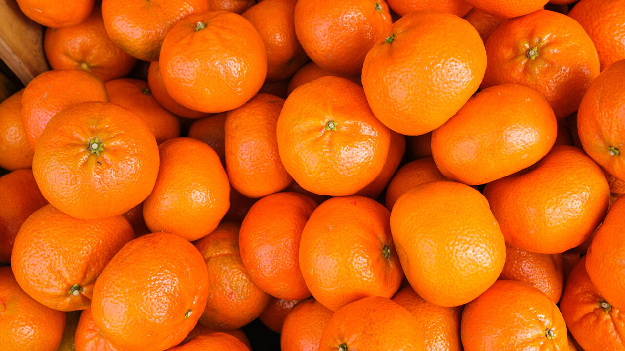 Mandarine oder Clementine? Die Unterschiede liegen in erster Linie im Geschmack. Mandarine oder Clementine? Die Unterschiede liegen in erster Linie im Geschmack.