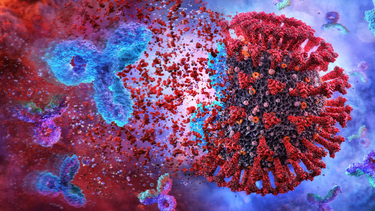 Endgültige Gewissheit über den Immunschutz können Antikörpertests nicht liefern.