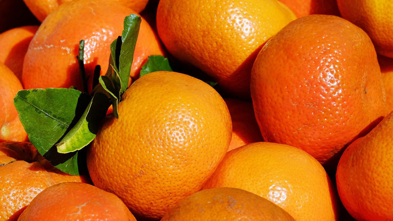 In 70,5 Prozent der Mandarinen-Proben wurden Mehrfachrückstände festgestellt