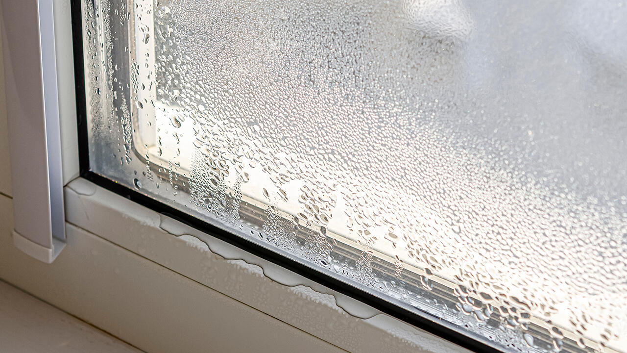 Wenn die Luftfeuchtigkeit im Zimmer zu hoch ist, bildet sich auf Fenstern, in Raumecken und hinter Schränken schnell Kondenswasser und in der Folge auch Schimmel.