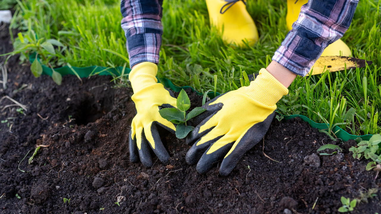 Aktuelle Untersuchung: BUND deckt Schadstoffe in Gartenartikeln auf.