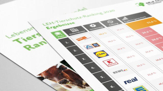 Supermärkte im Tierschutz-Ranking Supermärkte im Tierschutz-Ranking