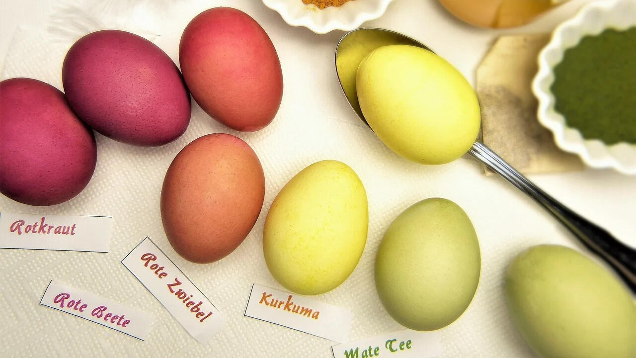Rotkohl, Kurkuma oder Mate-Tee färben Eier auf natürliche Weise rot, gelb und grün.