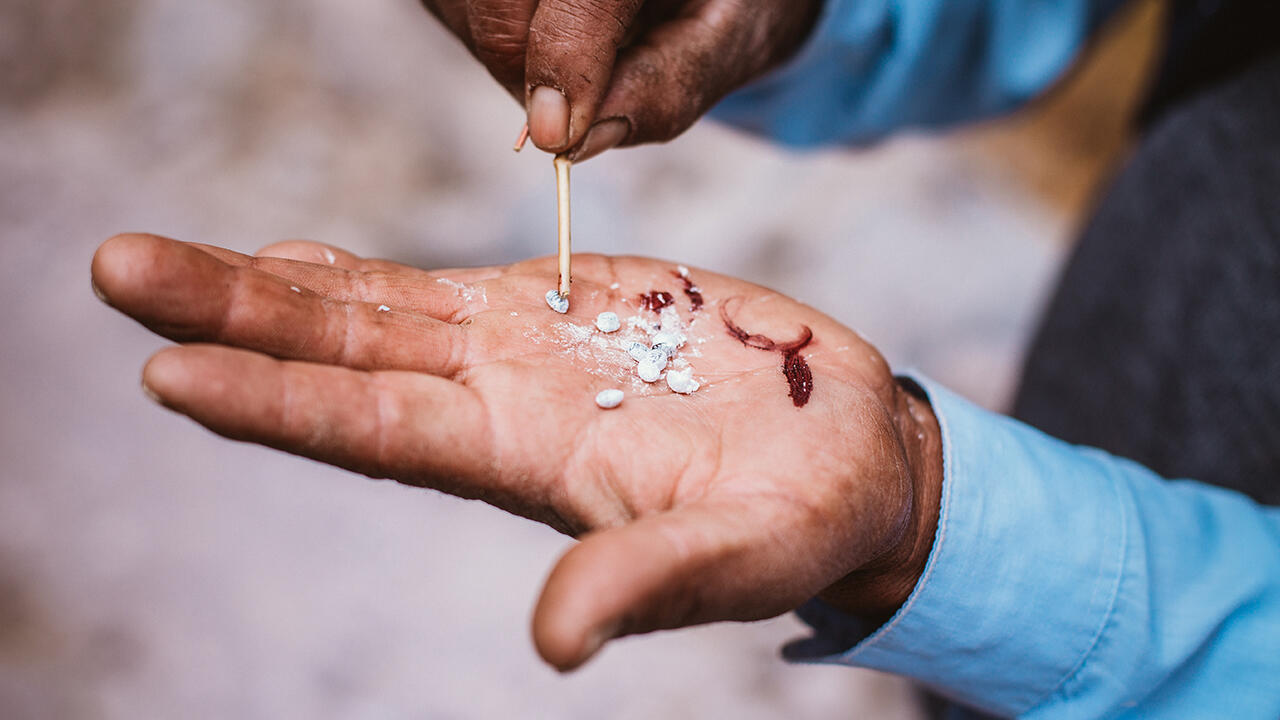 Lackschildläuse auf der Hand eines Farmers: Der Farbstoff Karmin wird aus dem Blut getrockneter Tiere hergestellt. Lackschildläuse auf der Hand eines Farmers: Der Farbstoff Karmin wird aus dem Blut getrockneter Tiere hergestellt.