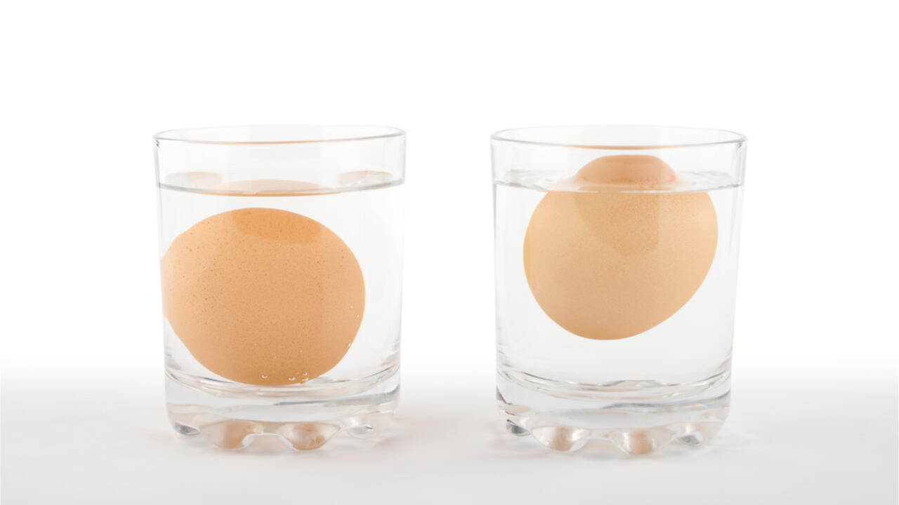 Das frische Ei (links) versinkt im Wasser, das vermutlich faule Ei (rechts) treibt an die Oberfläche.