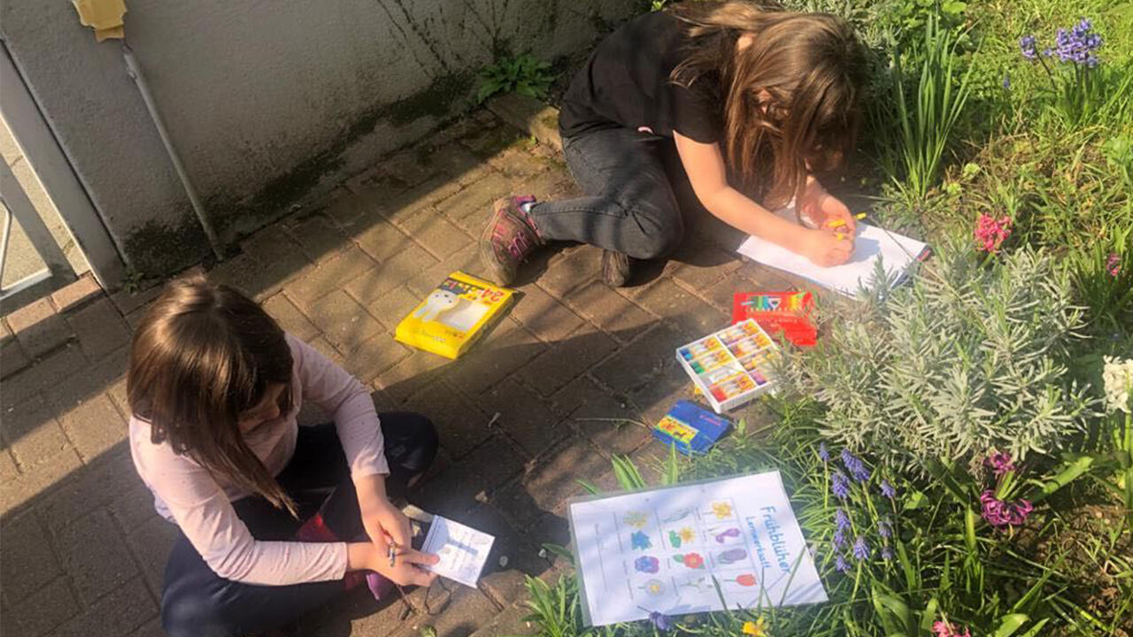 Blumen identifizieren und aufschreiben: Homeschooling an der frischen Luft. Blumen identifizieren und aufschreiben: Homeschooling an der frischen Luft.