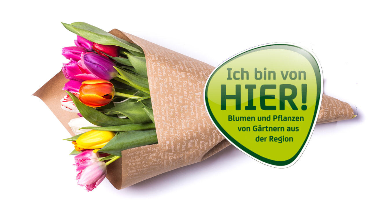 Bundesweit führen zurzeit rund 1.000 Händler Blumen und Pflanzen der Regional-Marke "Ich bin von hier!" Bundesweit führen zurzeit rund 1.000 Händler Blumen und Pflanzen der Regional-Marke "Ich bin von hier!"