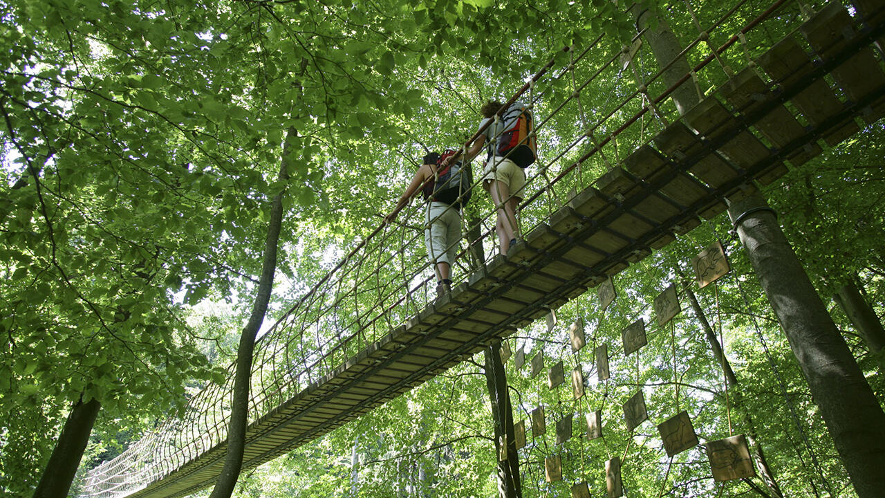 Erlebnis wird auf dem Rothaarsteig groß geschrieben. Erlebnis wird auf dem Rothaarsteig groß geschrieben.