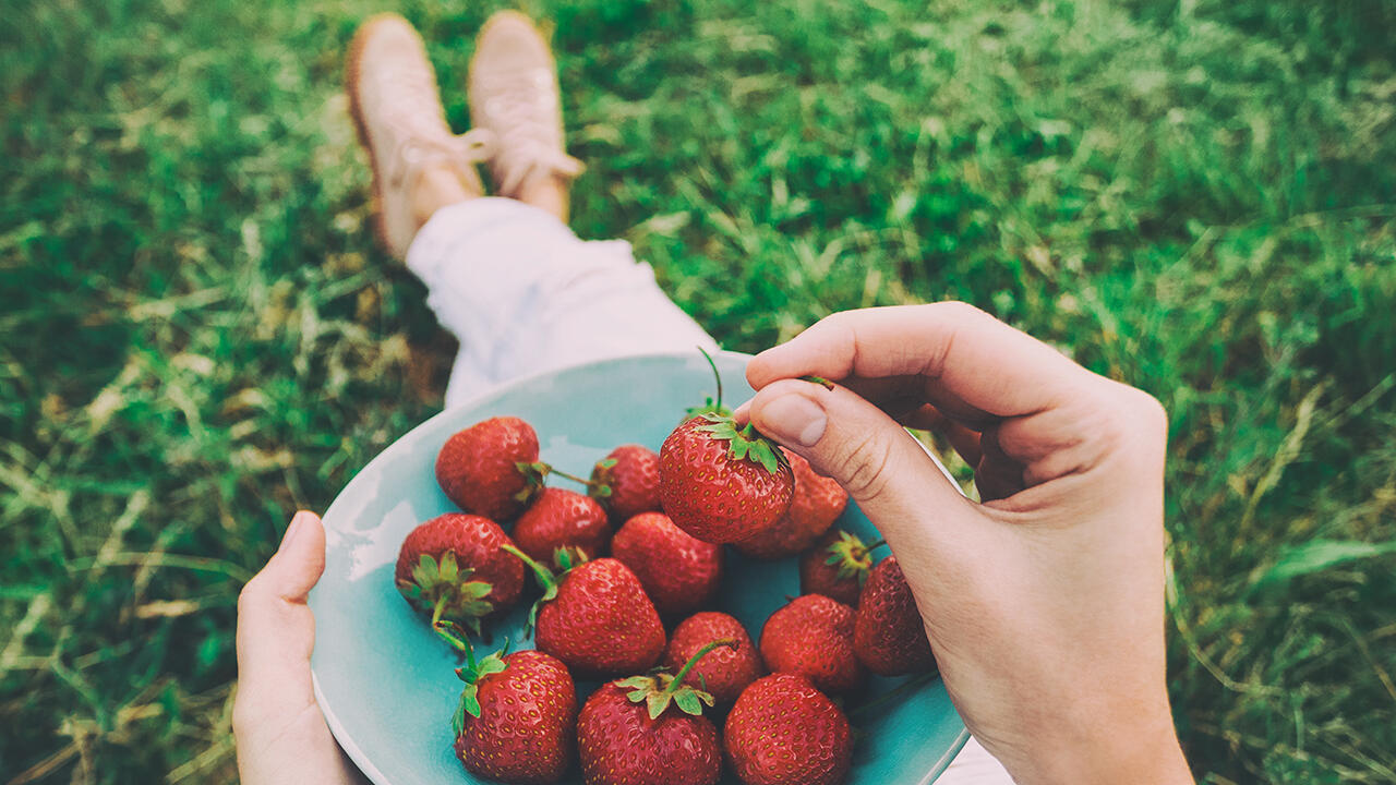 Erdbeeren sind beliebte Früchte. Wir geben Ihnen Tipps, worauf Sie achten müssen, wenn sie Erdbeeren pflanzen wollen.