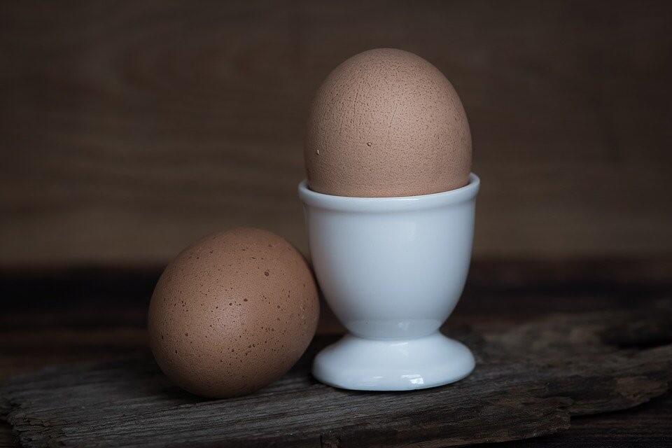 Ist der Verzehr des täglichen Frühstückseies gesund? Ist der Verzehr des täglichen Frühstückseies gesund?