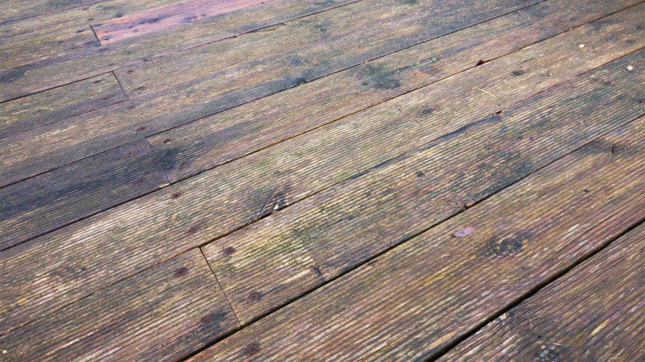 Diese Holzterrasse ist mit deutlichem Grünbelag überzogen und rutschig - Algenentferner könnten bei der Entfernung helfen, doch viele sind umweltschädlich. Diese Holzterrasse ist mit deutlichem Grünbelag überzogen und rutschig - Algenentferner könnten bei der Entfernung helfen, doch viele sind umweltschädlich.