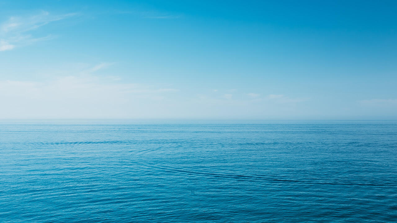 Woher stammt der Fisch, der in den Fischstäbchen verarbeitet wurde? Die meisten Fischstäbchenproduzenten setzen auf Fische aus gesunden, großen Beständen. Woher stammt der Fisch, der in den Fischstäbchen verarbeitet wurde? Die meisten Fischstäbchenproduzenten setzen auf Fische aus gesunden, großen Beständen.