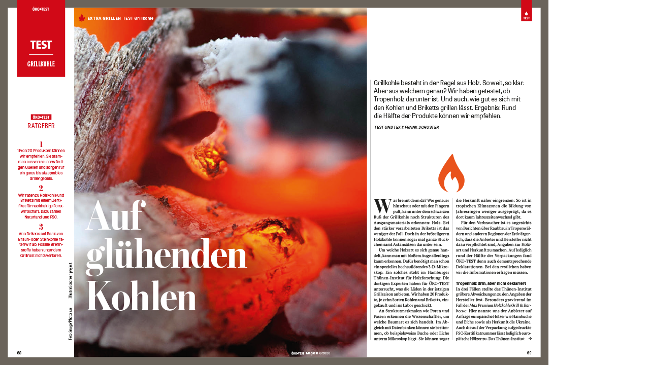 Spezial "Nachhaltig Grillen" in ÖKO-TEST 6/2020 - mit vielen Inspirationen rund ums Grillen im Sommer Spezial "Nachhaltig Grillen" in ÖKO-TEST 6/2020 - mit vielen Inspirationen rund ums Grillen im Sommer