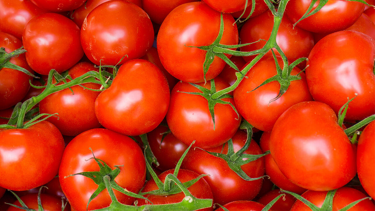 Unsere Tests zeigen: Häufig haben Tomaten-Produkte ein Problem mit Schimmelpilzgiften. 