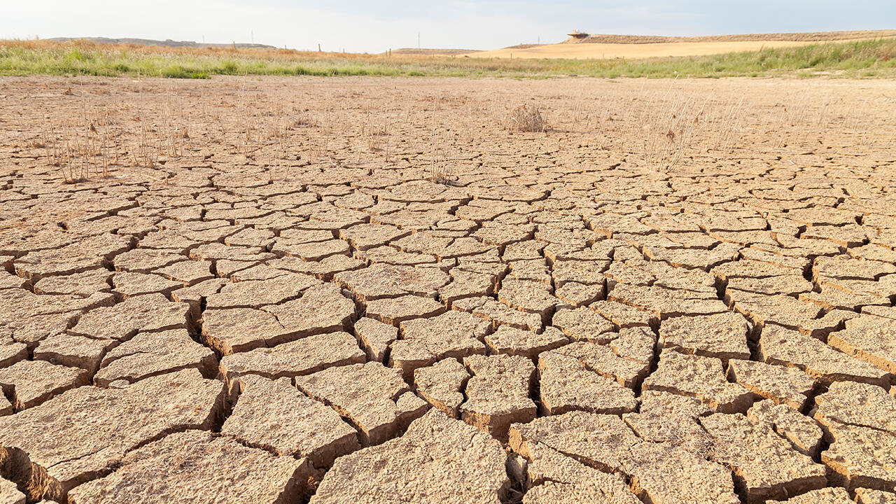 Trockenheit und Hitze sind schon heute ein Problem. Die Folgen des Klimawandels werden wir wohl in Zukunft immer stärker zu spüren bekommen.