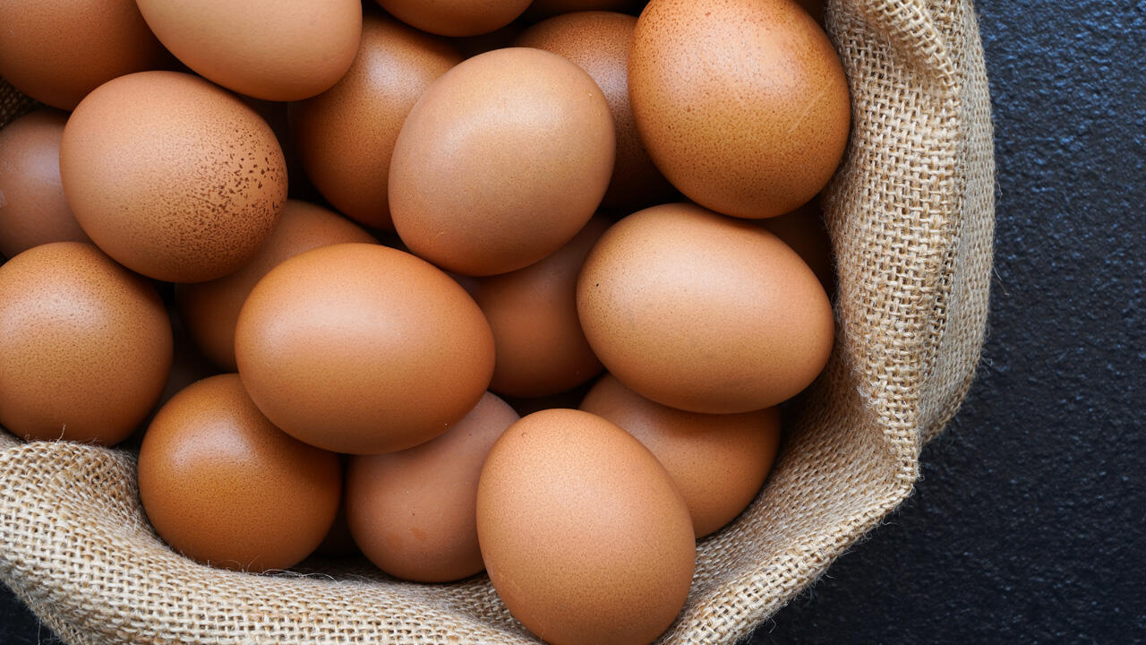 Rohe Eier sollten Sie nicht mit Schale einfrieren. Rohe Eier sollten Sie nicht mit Schale einfrieren.