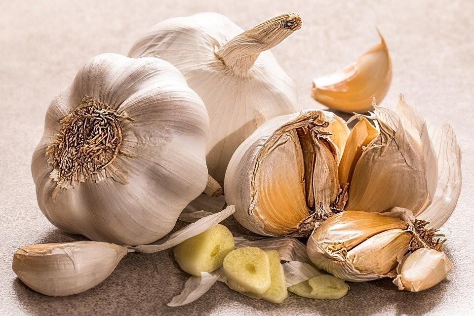 Wenn Sie Knoblauch einfrieren, verliert er an Geschmack. Wenn Sie Knoblauch einfrieren, verliert er an Geschmack.