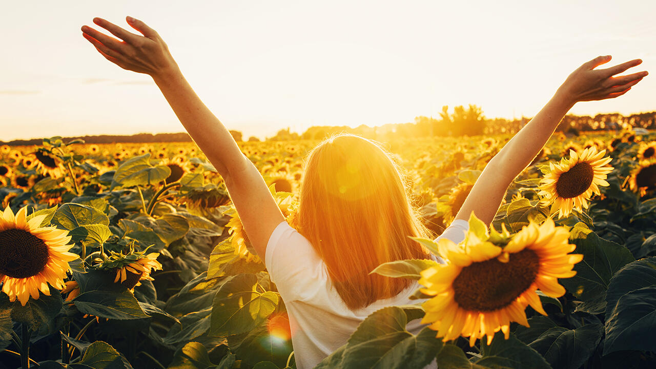 Sonnenblumen ziehen und sich das Sommergefühl fürs kommende Jahr sichern