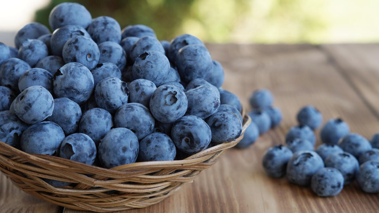 Frische Heidelbeeren erkennen Sie an gleichmäßig blauer Farbe, praller Schale und leichter Pelzschicht. Frische Heidelbeeren erkennen Sie an gleichmäßig blauer Farbe, praller Schale und leichter Pelzschicht.