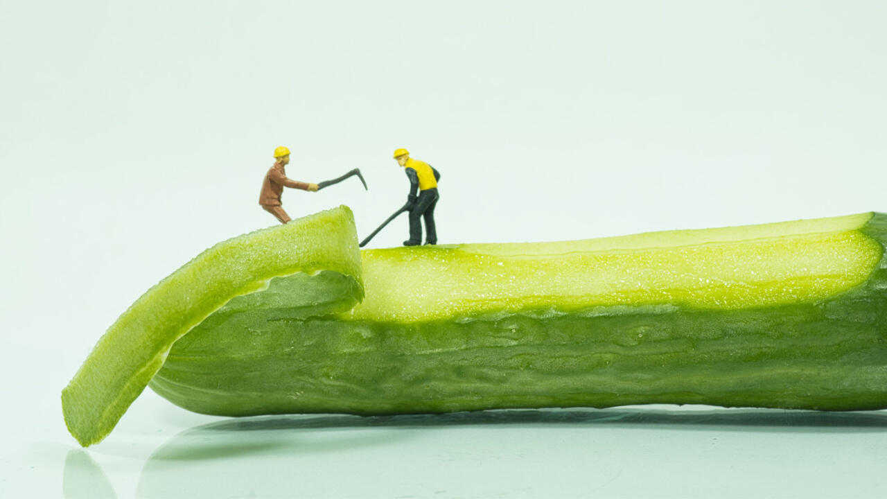 Bei Gurken ist Schälen natürlich erlaubt – es geht aber auch ohne. Bei Gurken ist Schälen natürlich erlaubt – es geht aber auch ohne.