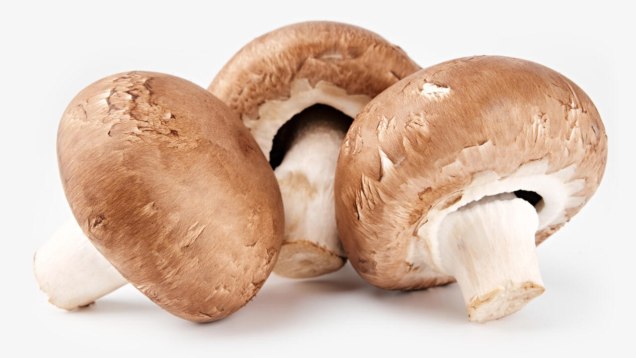 Frische Champignons sind fest und knackig und haben einen geschlossen Hut.