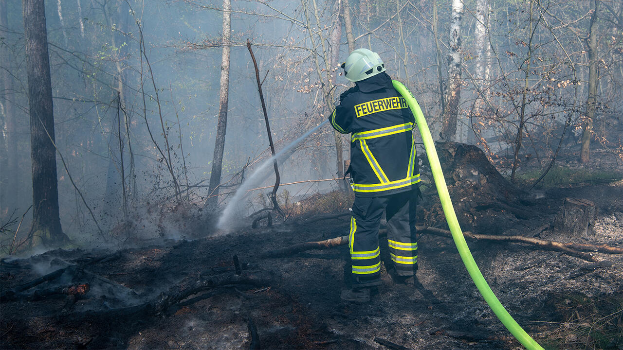 Auch in Deutschland kommt es immer wieder zu Waldbränden. 