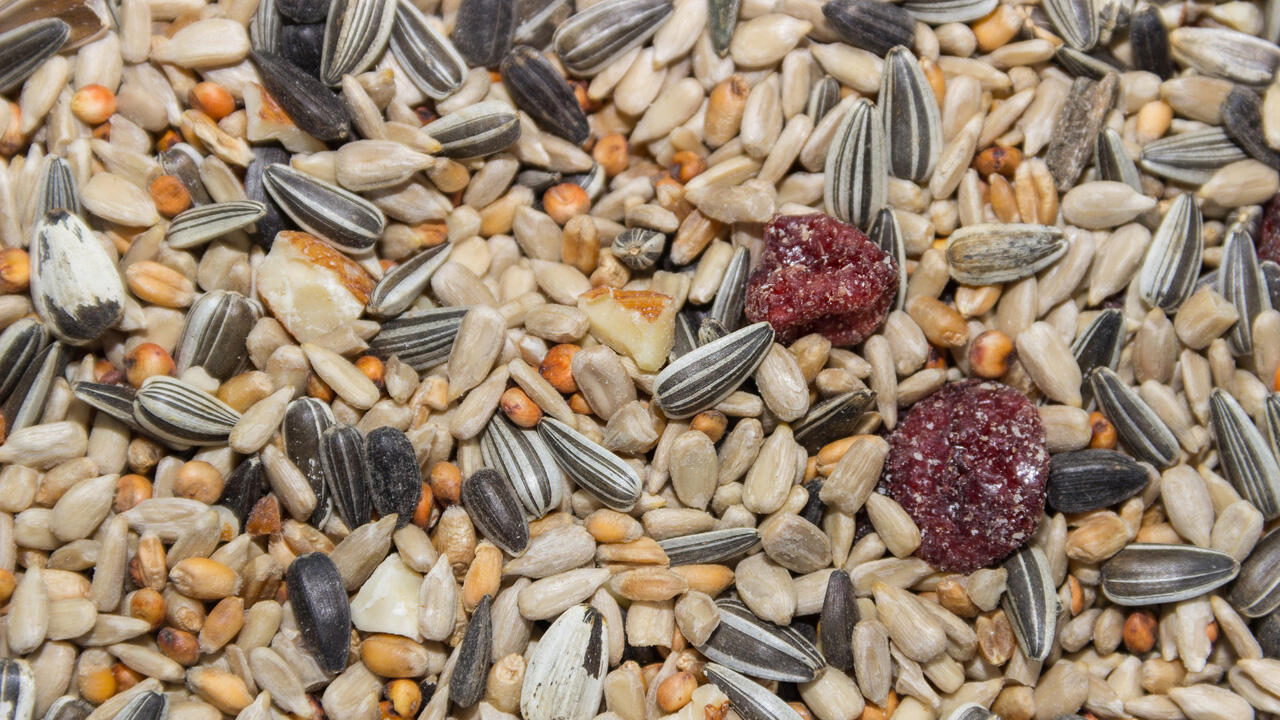 Die Körner für Ihr Vogelfutter können Sie selbst mischen Die Körner für Ihr Vogelfutter können Sie selbst mischen