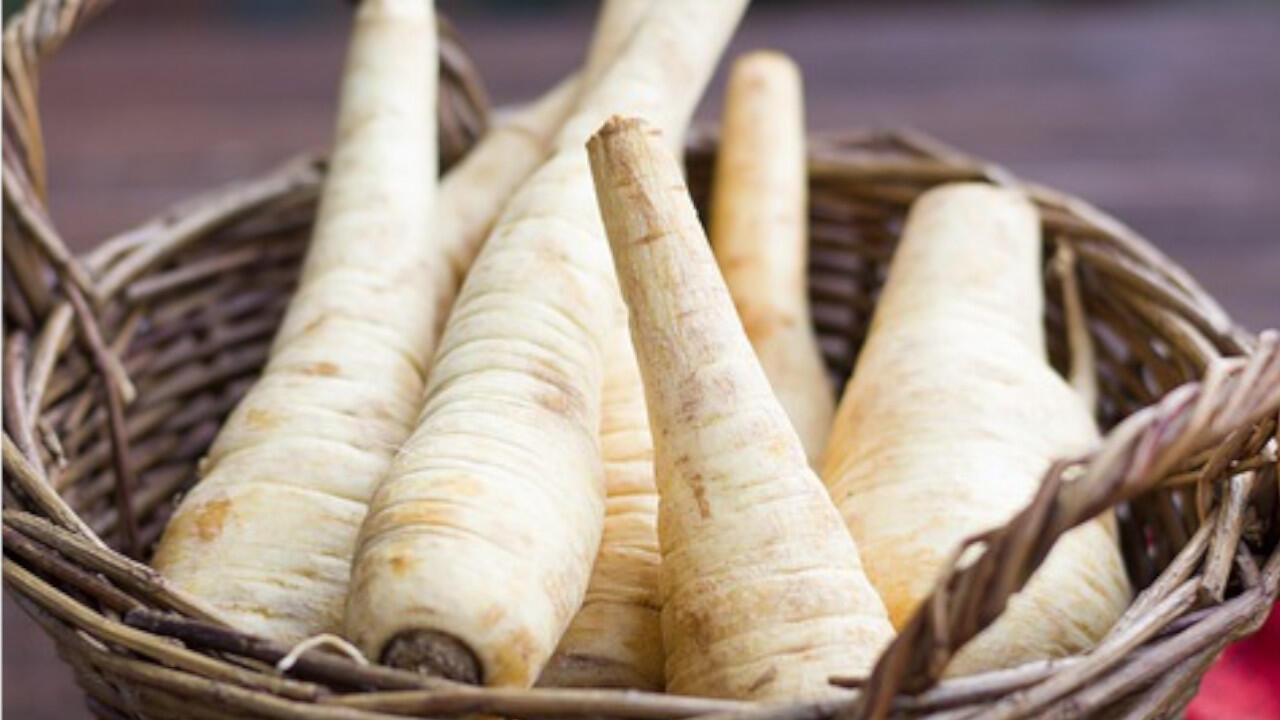 Pastinaken haben im Winter Saison und schmecken leicht süß. Pastinaken haben im Winter Saison und schmecken leicht süß.
