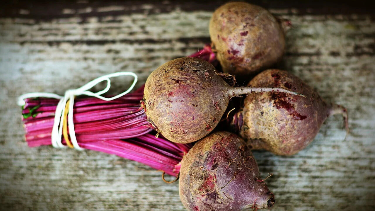 Rote Bete ist ein Wintergemüse, das Sie roh oder gekocht essen können. Rote Bete ist ein Wintergemüse, das Sie roh oder gekocht essen können.