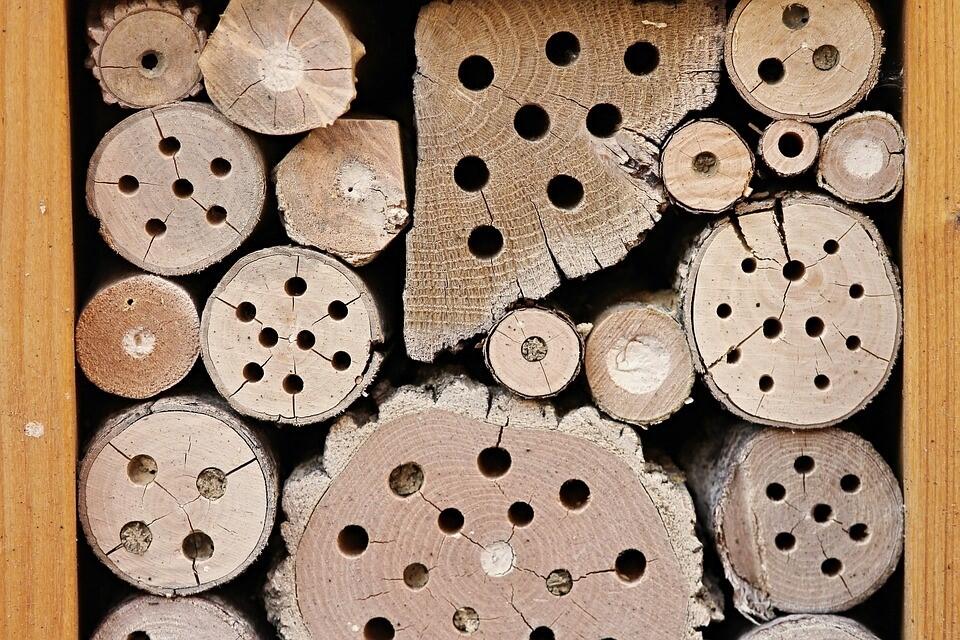 Für das Insektenhotel bohren Sie Löcher mit bis zu 10 mm Durchmesser in die Holzstämme. Für das Insektenhotel bohren Sie Löcher mit bis zu 10 mm Durchmesser in die Holzstämme.