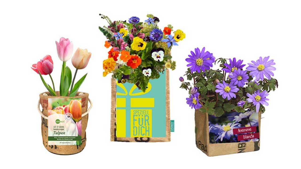 Nachhaltige Geschenke: Bio-Kräuter zum Selberziehen Nachhaltige Geschenke: Bio-Kräuter zum Selberziehen