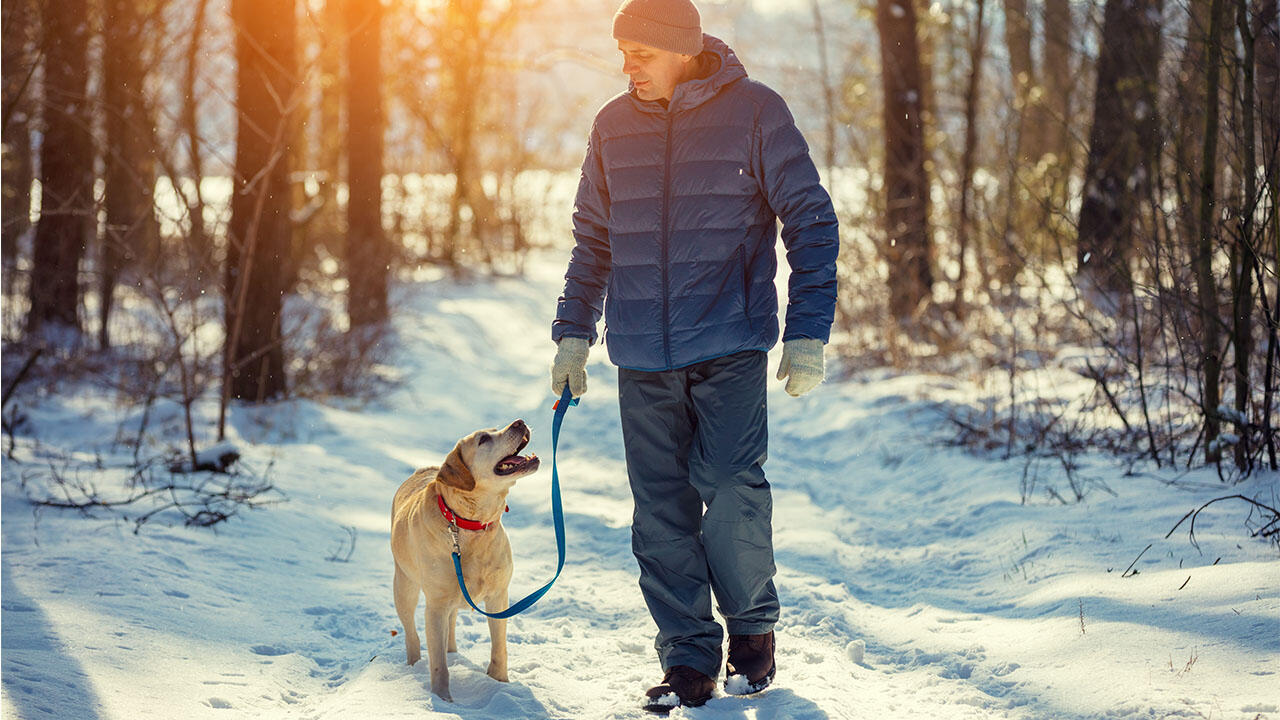 Hundebesitzer sollten mit Salz bestreute Flächen meiden. Waldwege sind in aller Regel unproblematisch. Hundebesitzer sollten mit Salz bestreute Flächen meiden. Waldwege sind in aller Regel unproblematisch.