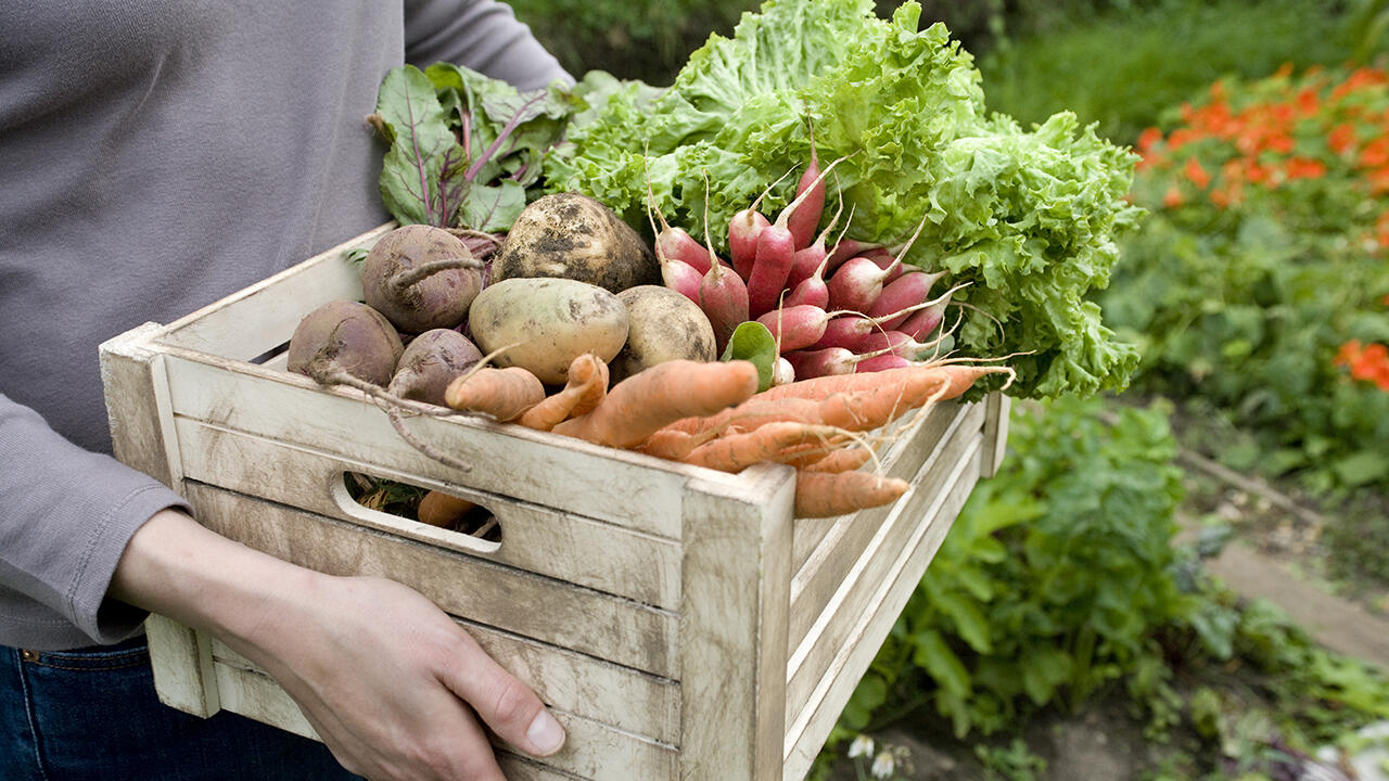 Mehr Gemüse wagen. Am besten aus regionalem, saisonalem und Bio-Anbau.