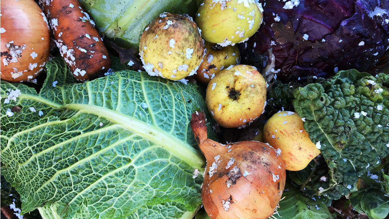 Kohl, Karotten und Äpfel haben im Januar Saison. Kohl, Karotten und Äpfel haben im Januar Saison.