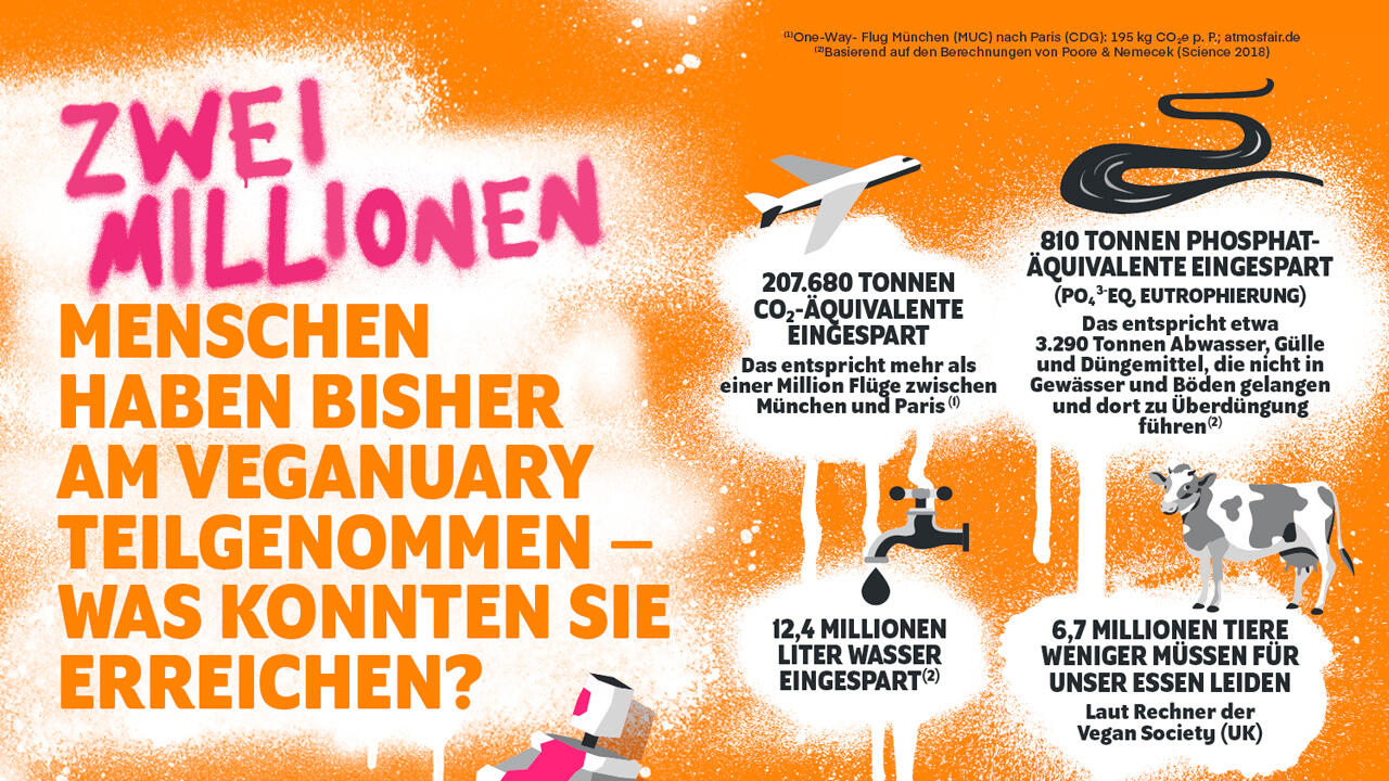 Die Veganuary-Aktivisten ließen berechnen, welche Auswirkungen der vegane Monat hat Die Veganuary-Aktivisten ließen berechnen, welche Auswirkungen der vegane Monat hat