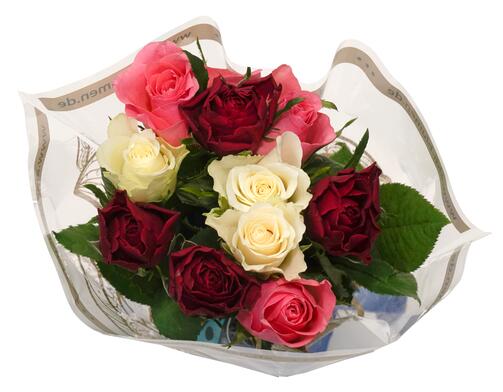 Aldi-Blumen Fairtrade Rosen, weiß-rosa-rot-Mix
