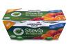 Andechser Natur Stevia Bio-Joghurt mild Orange-Sanddorn